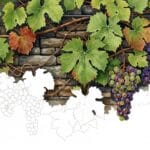 Vines dream meaning – image of green vines climbing a wall representing growth, entanglement, and persistence in dreams.